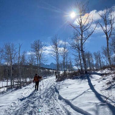 ROCC works to preserve County Road 5 winter access