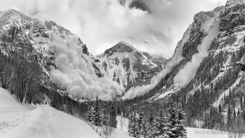 Snoe Dragons by Kate Scheidegger