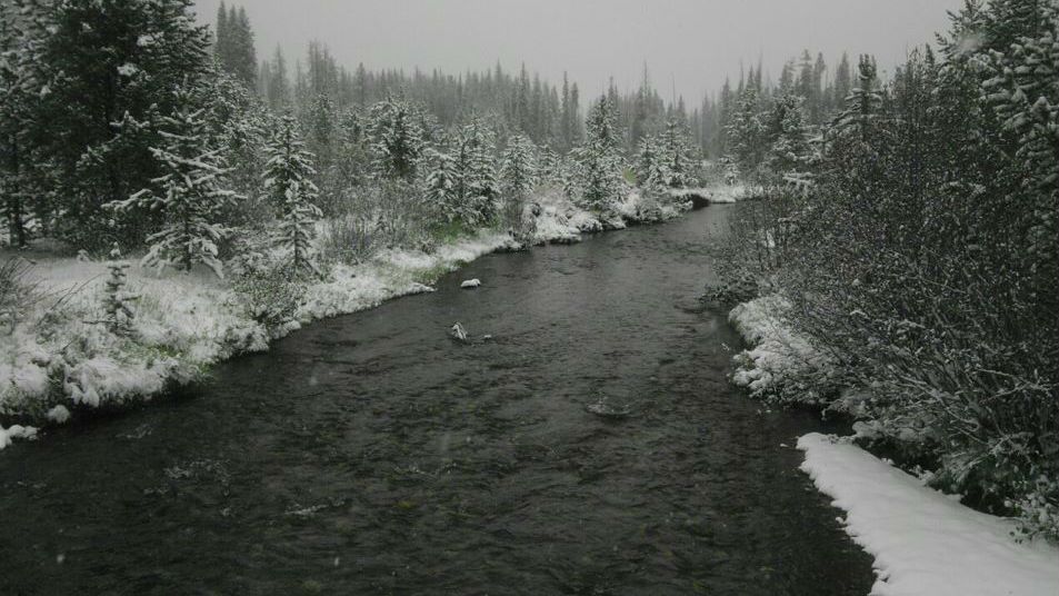 Winter fishing in Ridgway Colorado