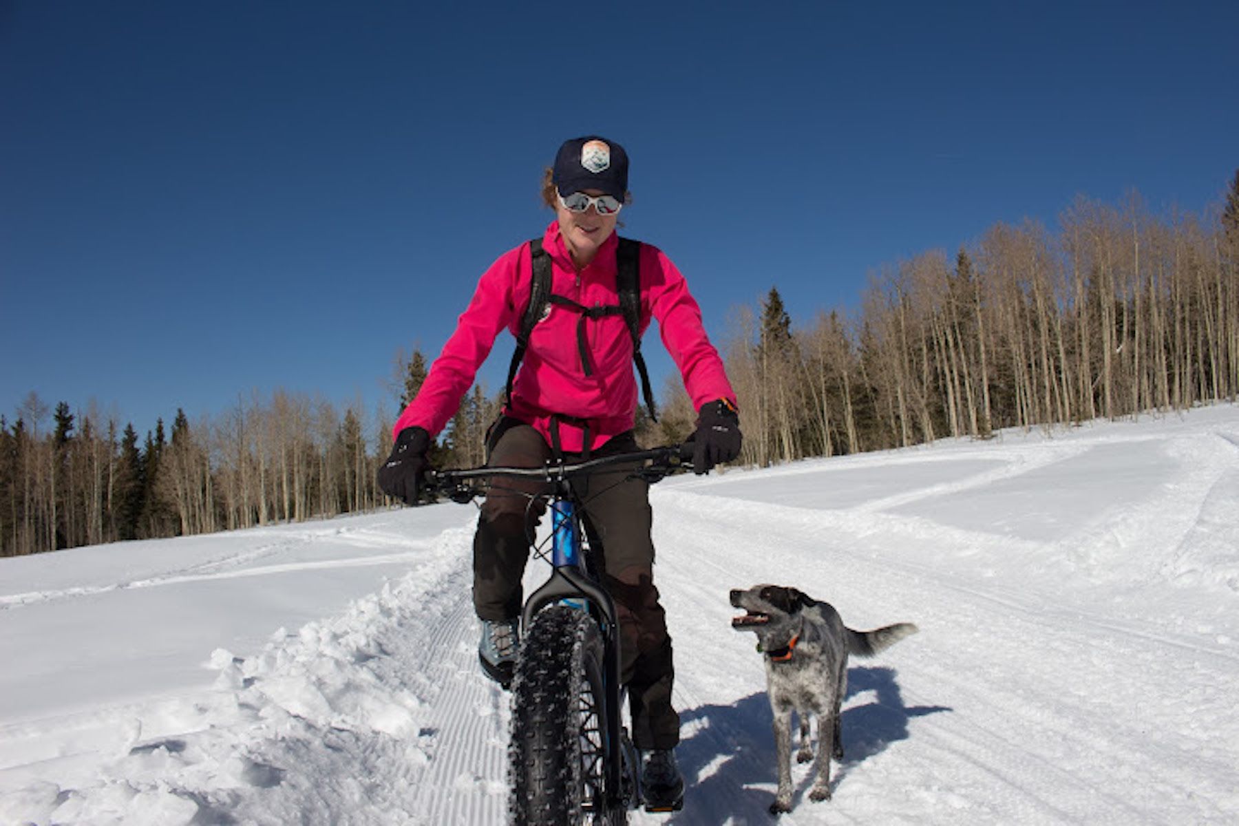Image of  Woman and a dog